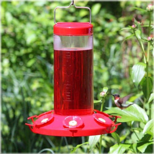 Perky-Pet Clear The Grand Master Plastic Hummingbird Feeder - 48 Ounces