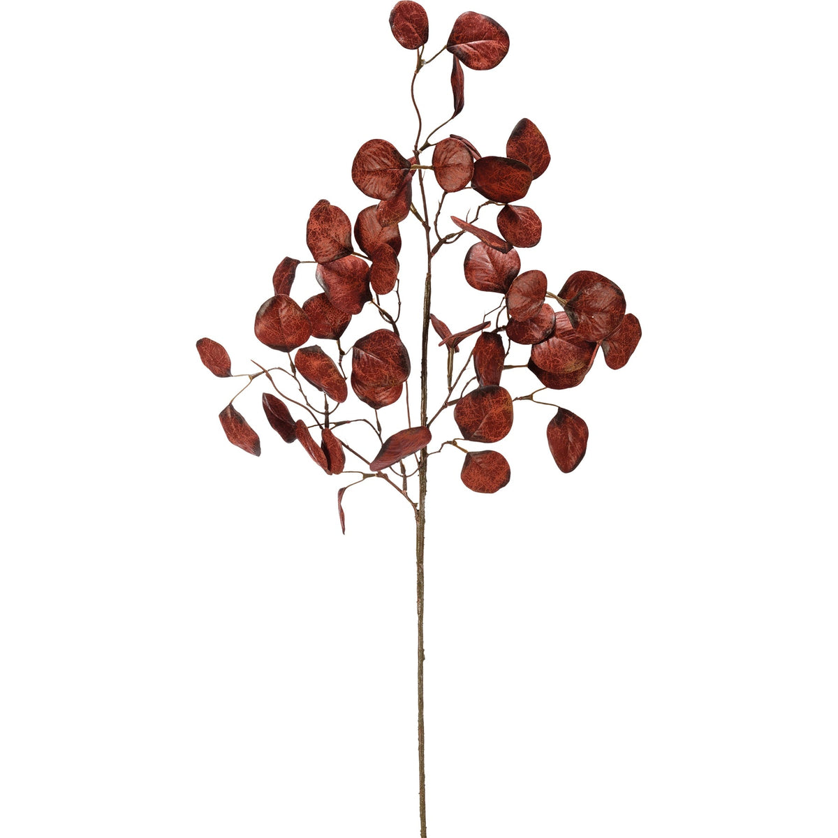 Primitives by Kathy Pick - Burgundy Eucalyptus