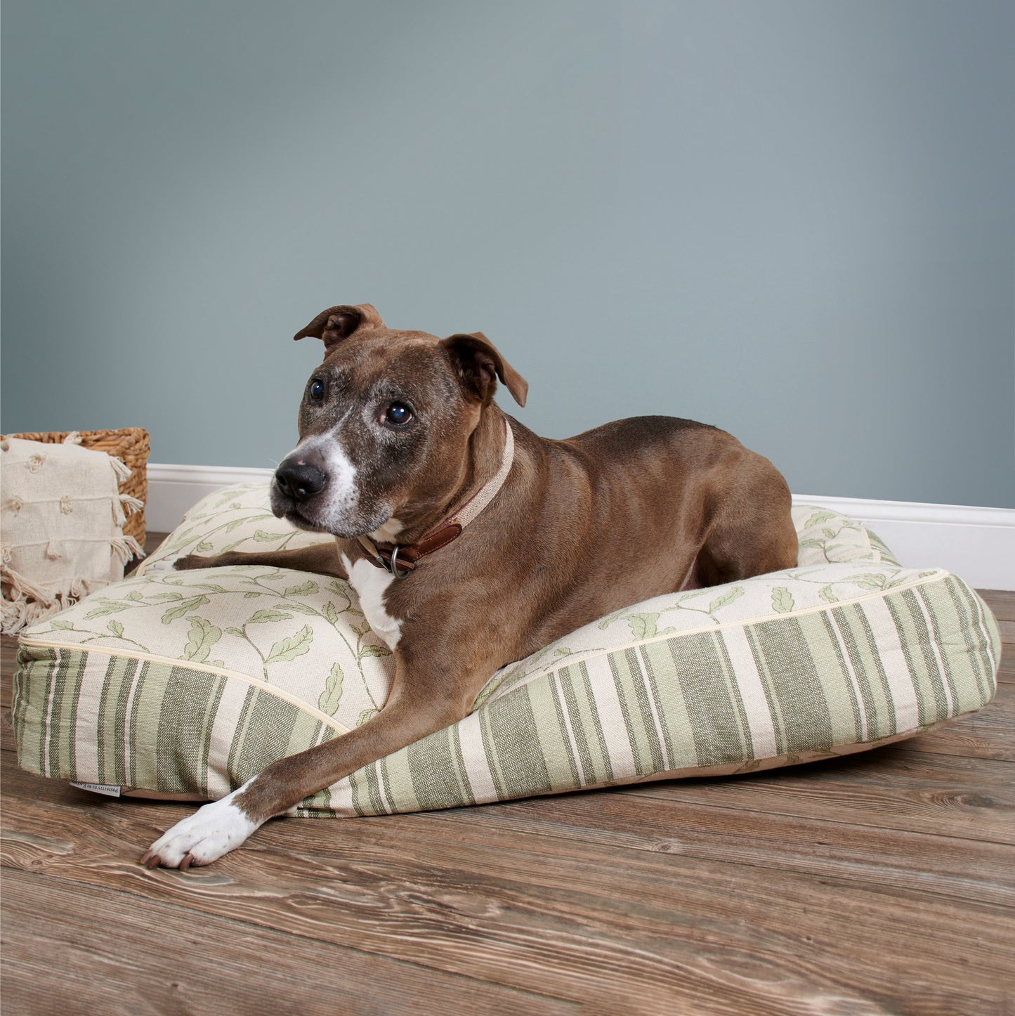 Primitives by Kathy X-Large Green Botanical Dog Bed