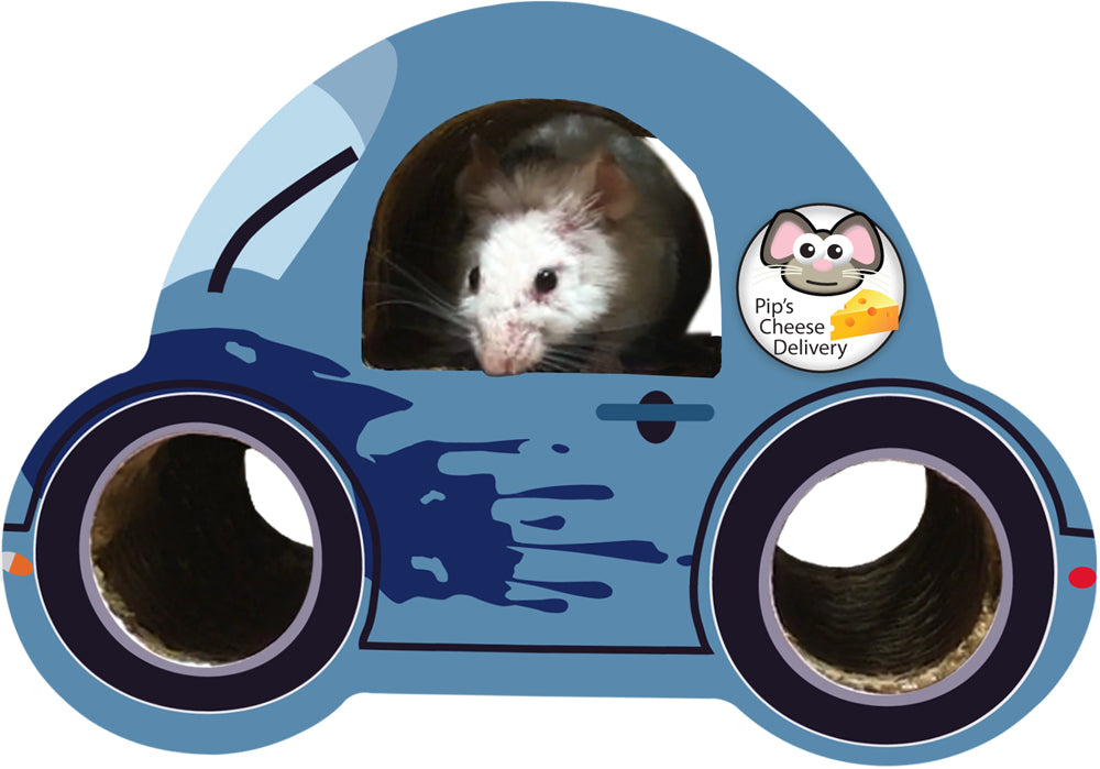Imperial Cat Pay 'n Shapes Tiny Habitat Enhancer Car