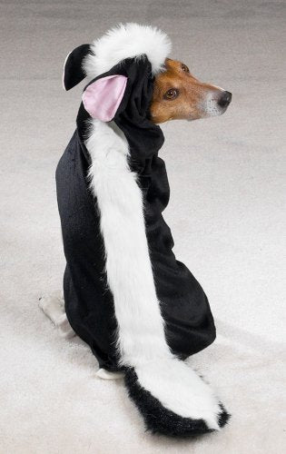 SMALL - LITTLE STINKER - Dog Halloween Costume