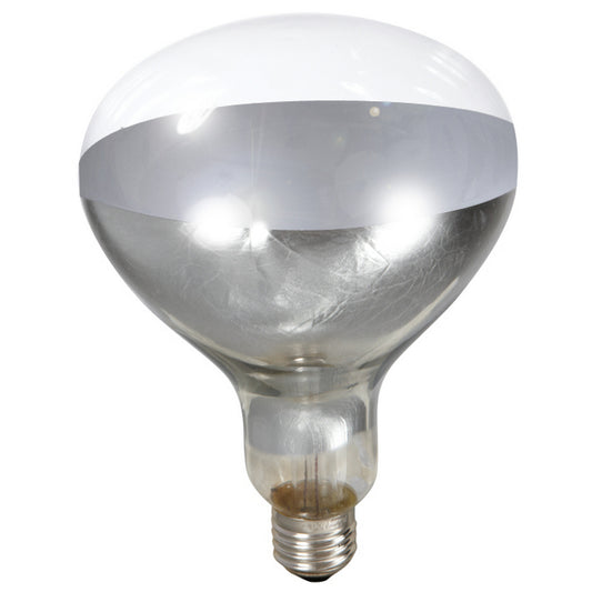 Little Giant Clear Heat Lamp Bulb - 250 watts