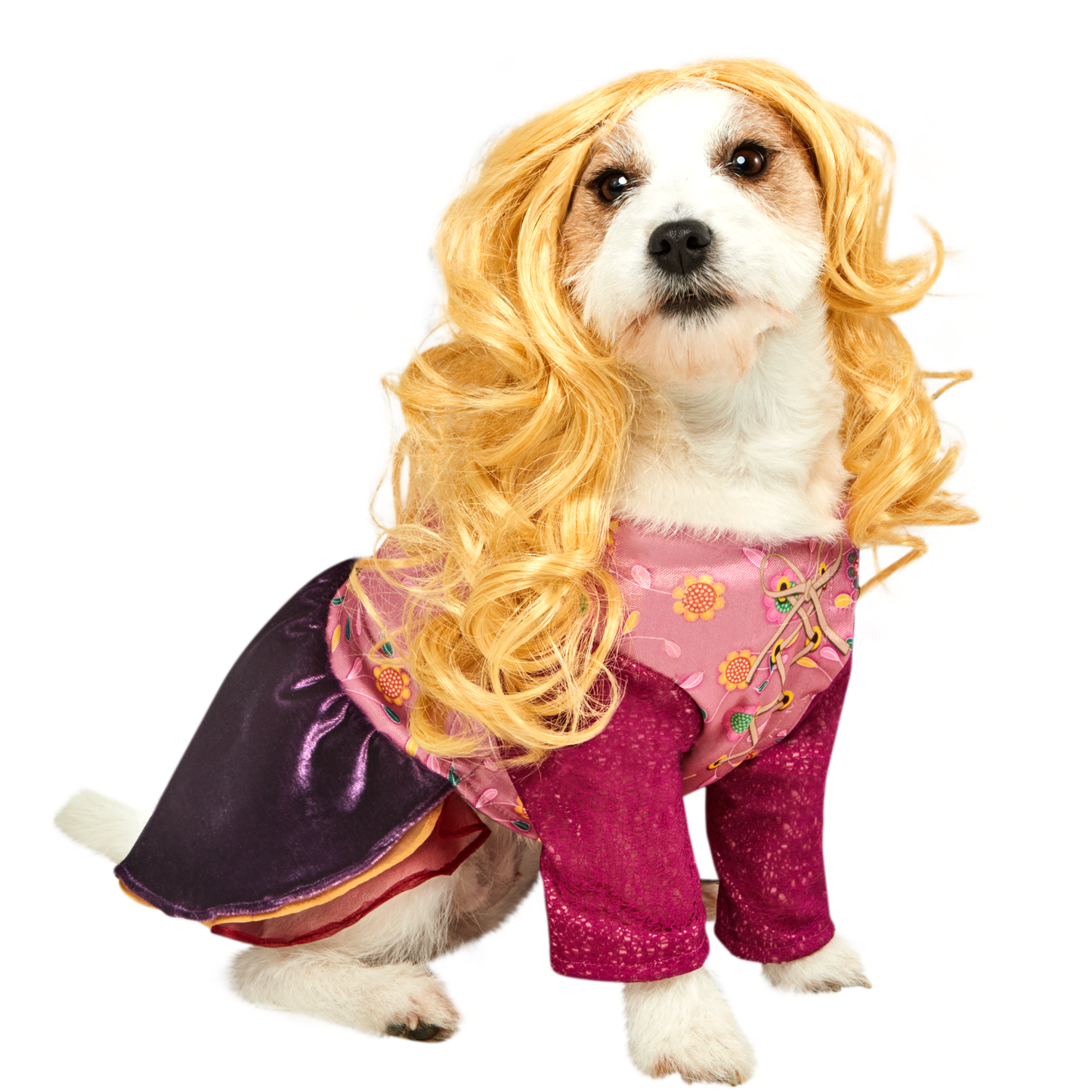 Sarah Pet Costume - Large