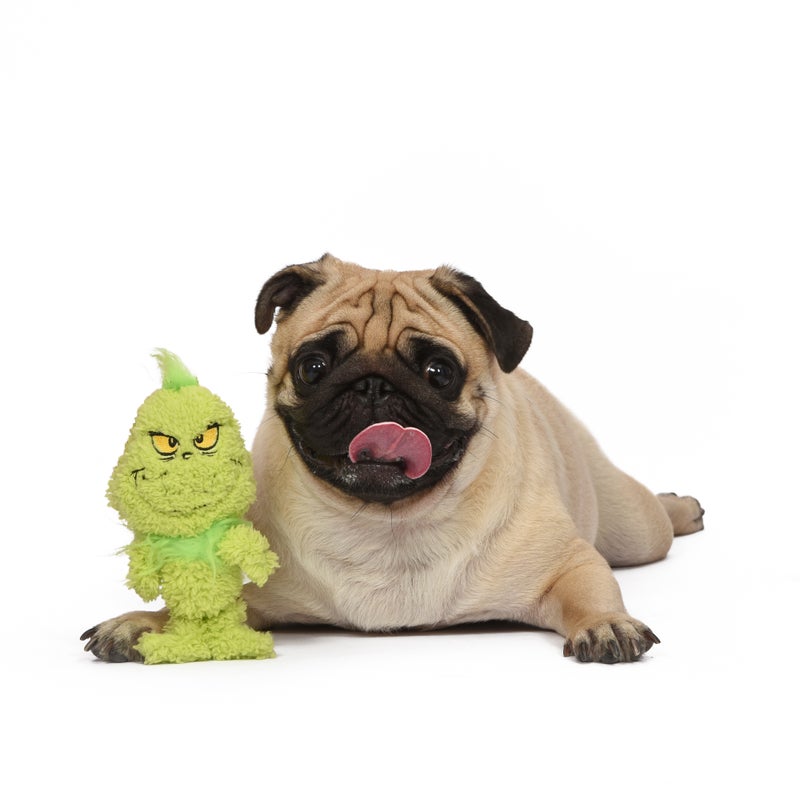 Dr. Seuss: The Grinch Big Head Grinch Pet Squeaker Toy- 6"