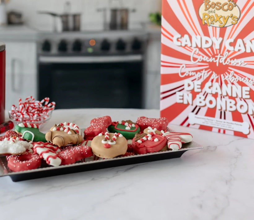 Bosco & Roxy's 24 Dog Days of Christmas Advent Treat Calendar