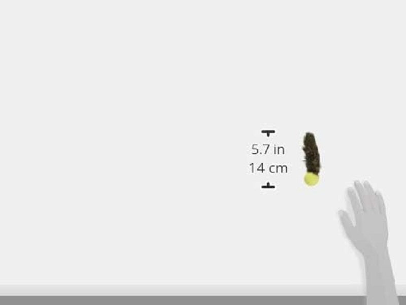 GoCat Da Fur Pong 3 Pack Cat Toy