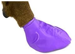 PAWZ Dog Boots Disposable, Reusable, Waterproof Set of 12 Color:Purple Size:Large Pack of 2
