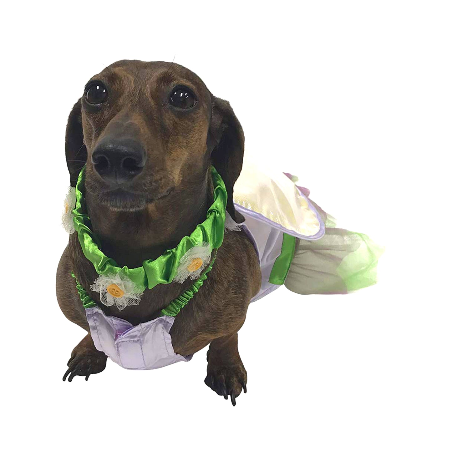 Fairy Costume for Small Dogs