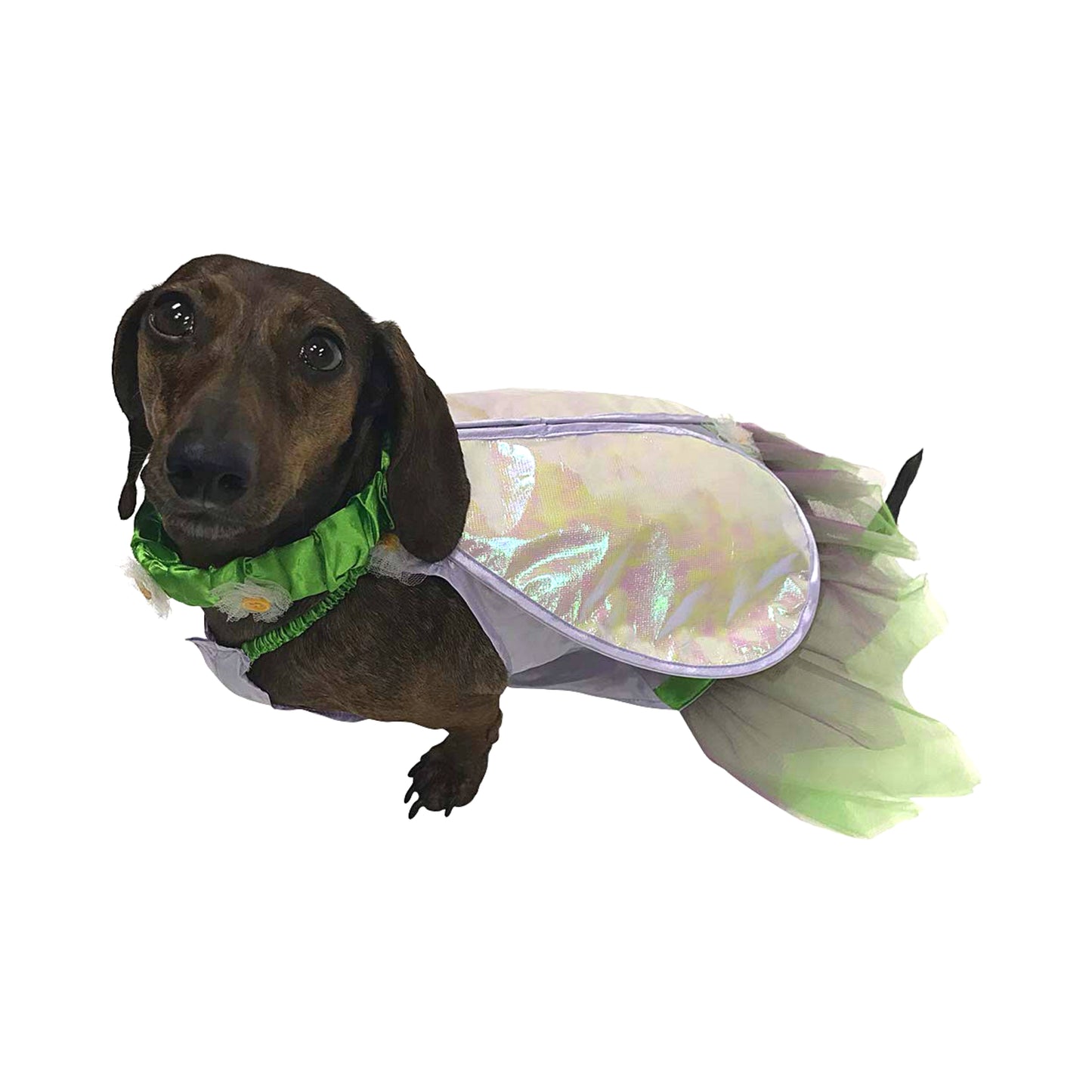 Fairy Costume for Small Dogs