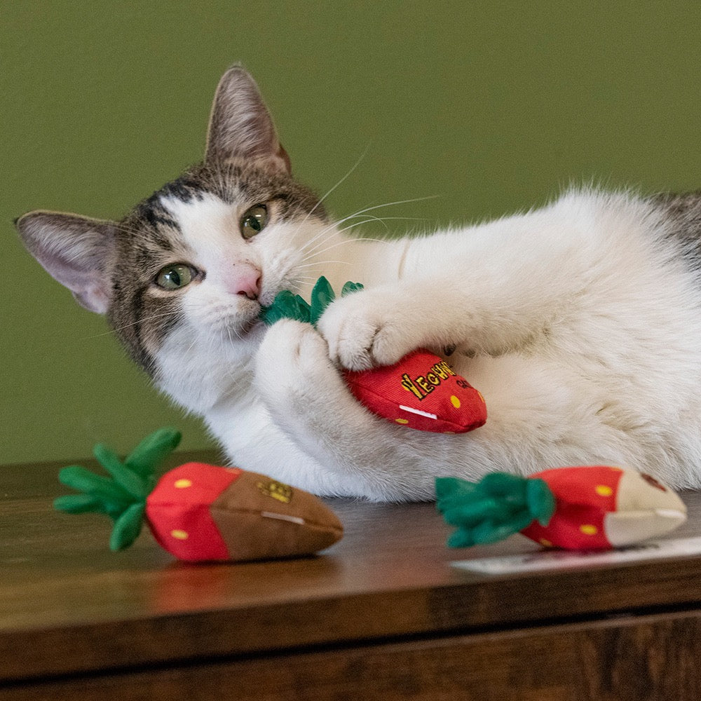 Yeowww! Strawberries Catnip Cat Toy - Red