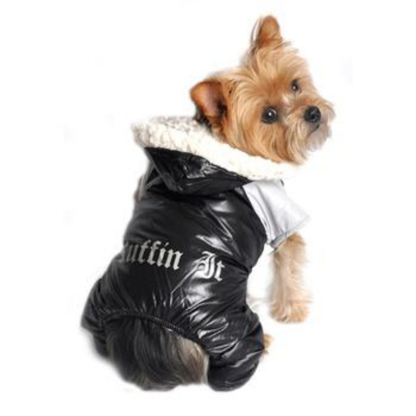 Doggie Design "Ruffin It" Winter Full Dog Snowsuit, Black and Gray, Small