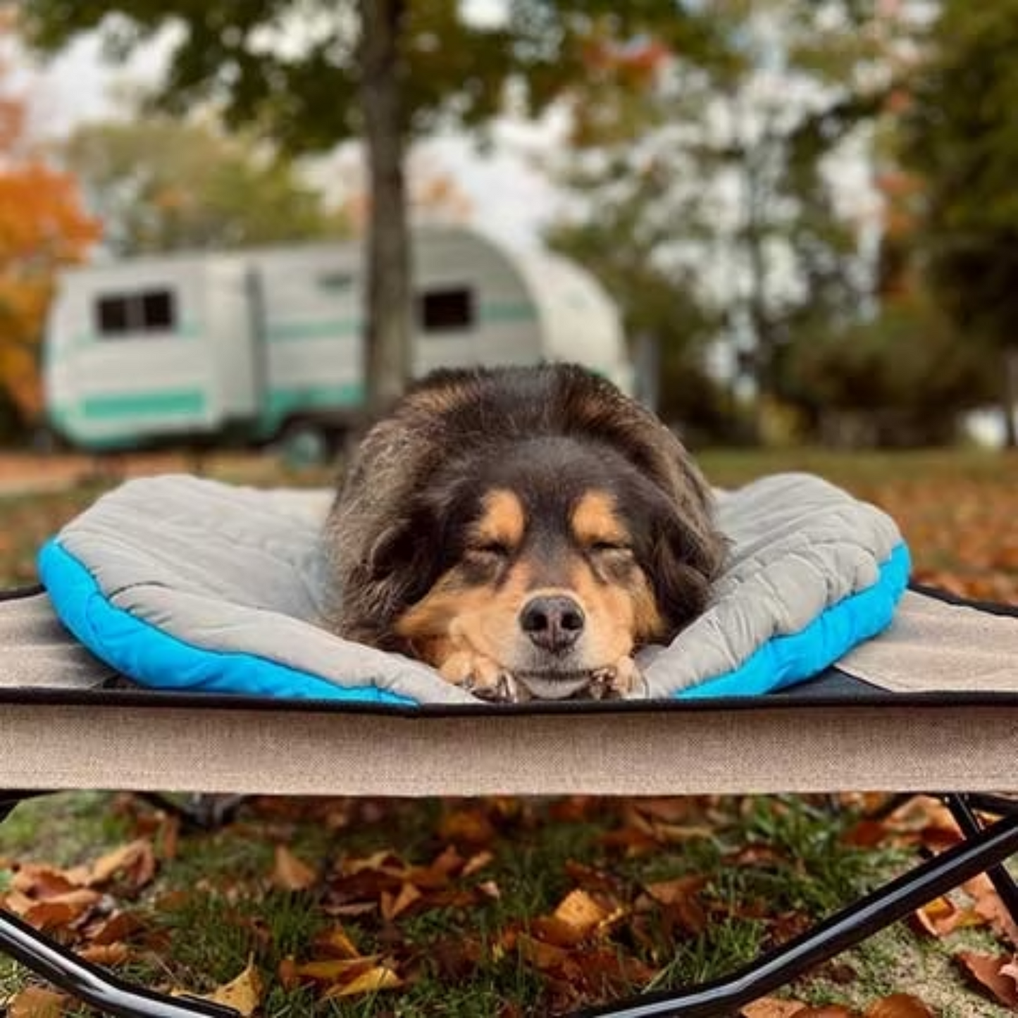 Chuckit Travel Bed - Blue & Gray- DS