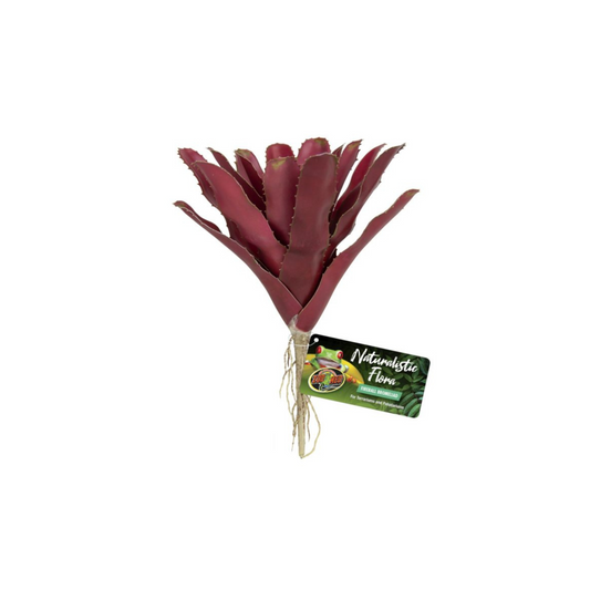 Zoo Med Naturalistic Flora Fireball Bromeliad