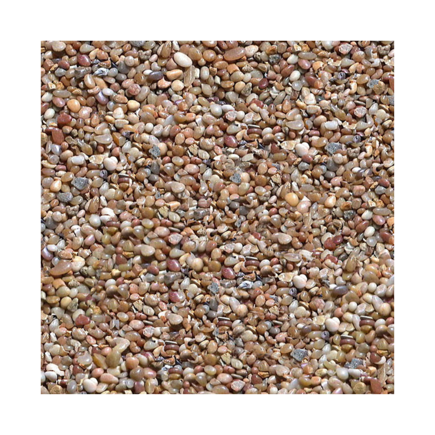 Pure Water Pebbles Aquarium Gravel - Cumberland River Gems(25 Pound) - DS