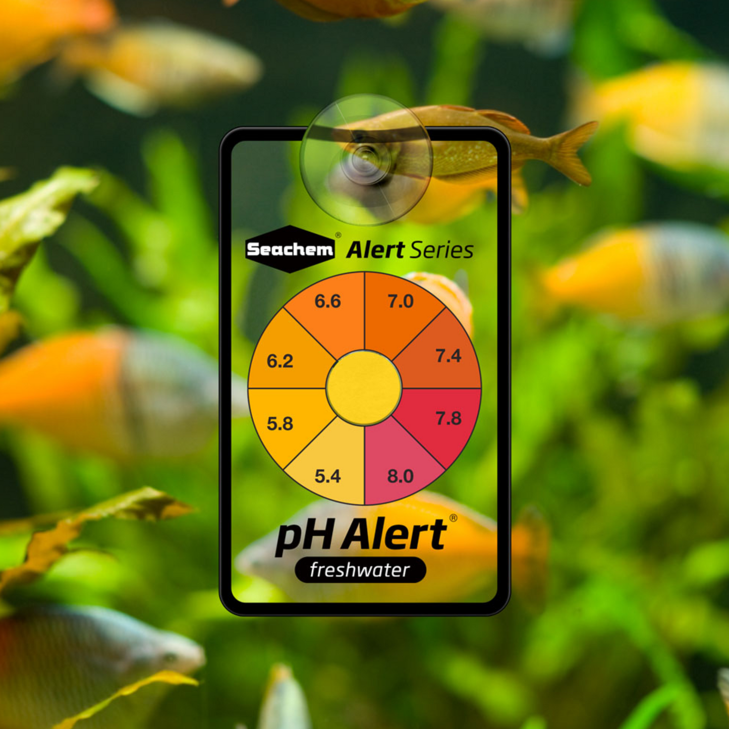 Seachem pH Alert for Freshwater - DS