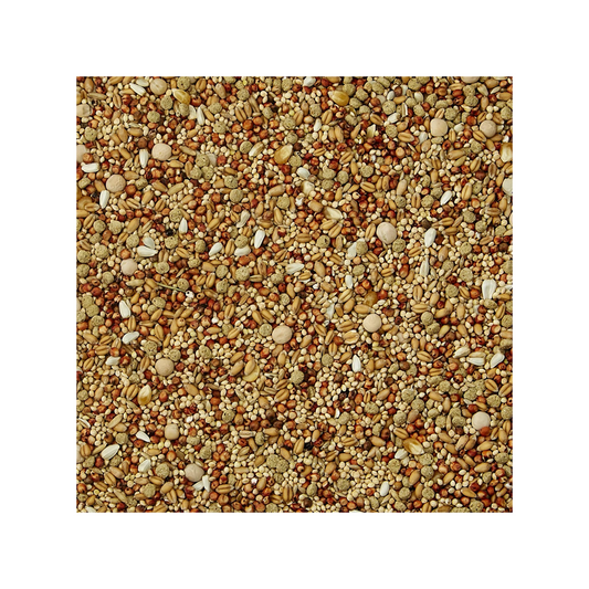 Kaytee Supreme Daily Blend Bird Food - Parakeet - DS