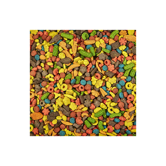 Kaytee Exact Rainbow Chunky Parrot Food - DS