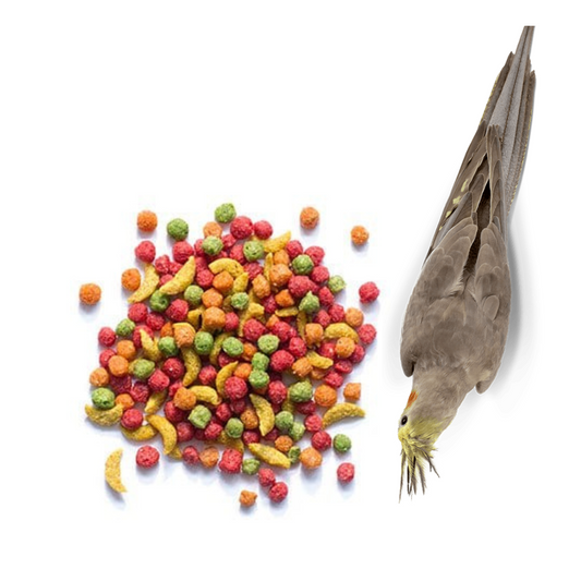 ZuPreem FruitBlend Flavor Bird Food for Medium Birds - 15.5 Pound- DS