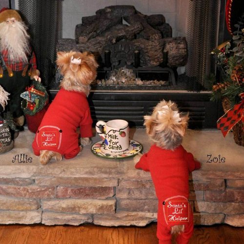 Doggie Design Santa's Lil Helper Embroidered Dog Pajamas, Small