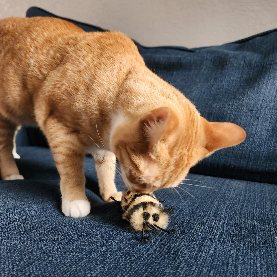 Go Cat Da Cat-A-Pila Wand Attachment Cat Toy