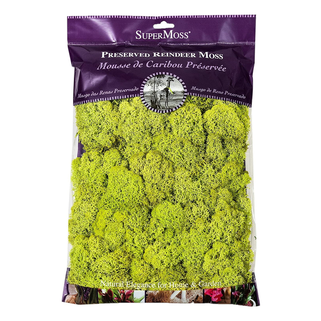 Super Moss 21669 Reindeer Moss Preserved, Chartreuse, 8oz (200 cubic inch)