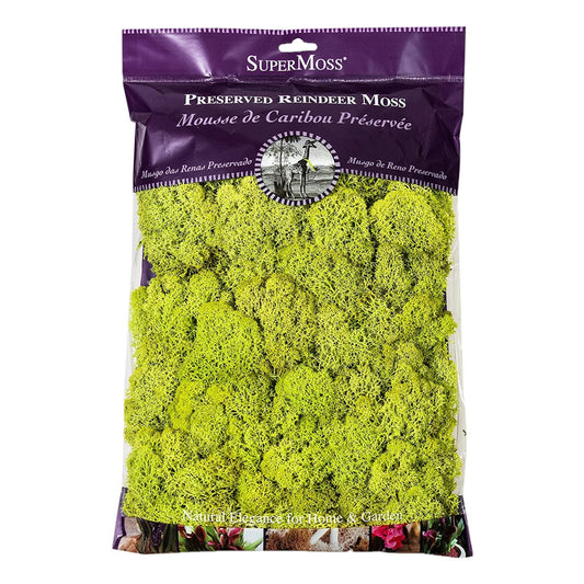 Super Moss 21669 Reindeer Moss Preserved, Chartreuse, 8oz (200 cubic inch)