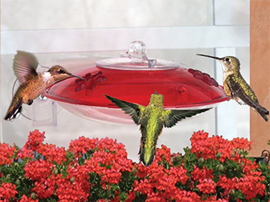 Droll Yankees Red Hummer 3 Window Hummingbird Feeder - 6 oz