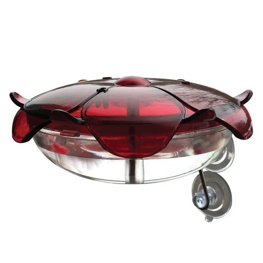 Droll Yankees Ruby/Clear The Ruby Sipper Window Mount Hummingbird Feeder - 5 Oz