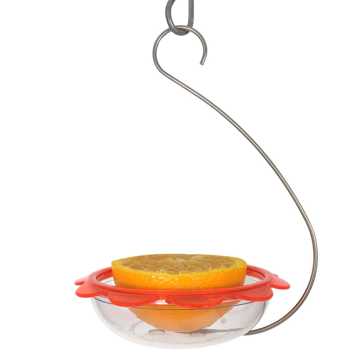 Droll Yankees Hanging Model Bo's Marmalade Oriole Bird Feeder