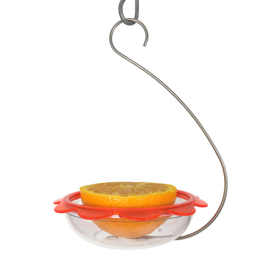 Droll Yankees Hanging Model Bo's Marmalade Oriole Bird Feeder