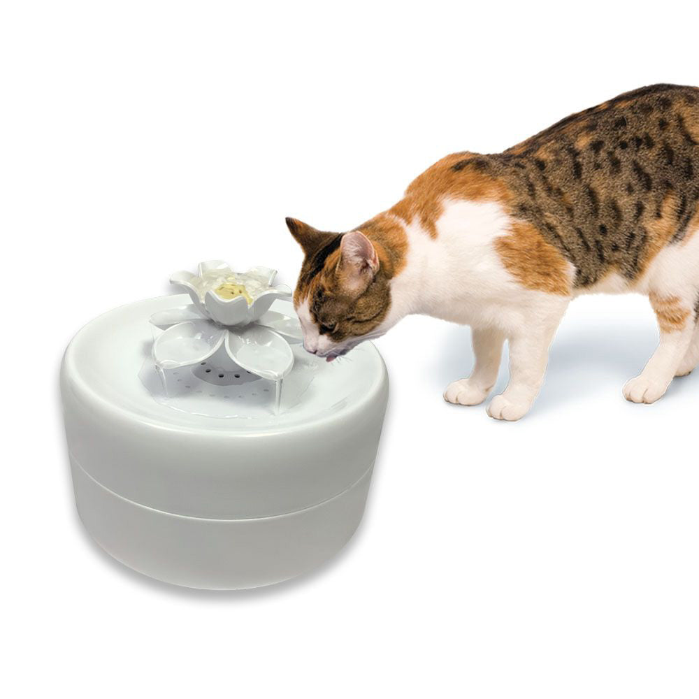 Pioneer Pet Magnolia Drinking Fountain -  55 oz, White