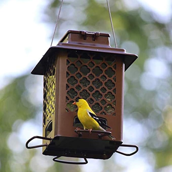 More Birds Bronze Metal Hanging Hopper Bird Feeder