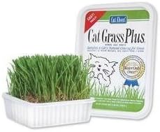 Gimborn Redi Cat Grass Plus - 5.25oz
