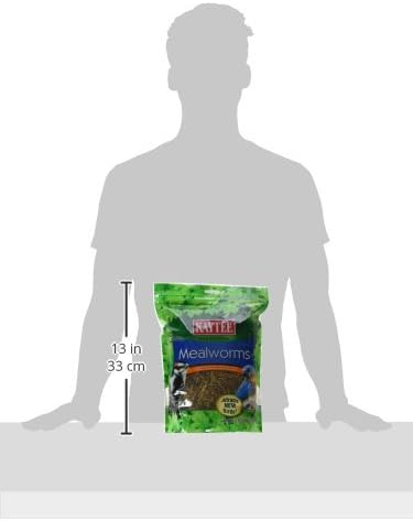 Kaytee Mealworms Bird Food - 17.6 Oz