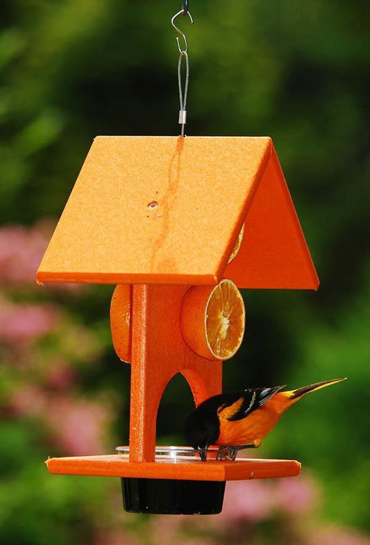 Songbird Essentials Orange Fruit and Jelly Oriole Bird Feeder - 10"