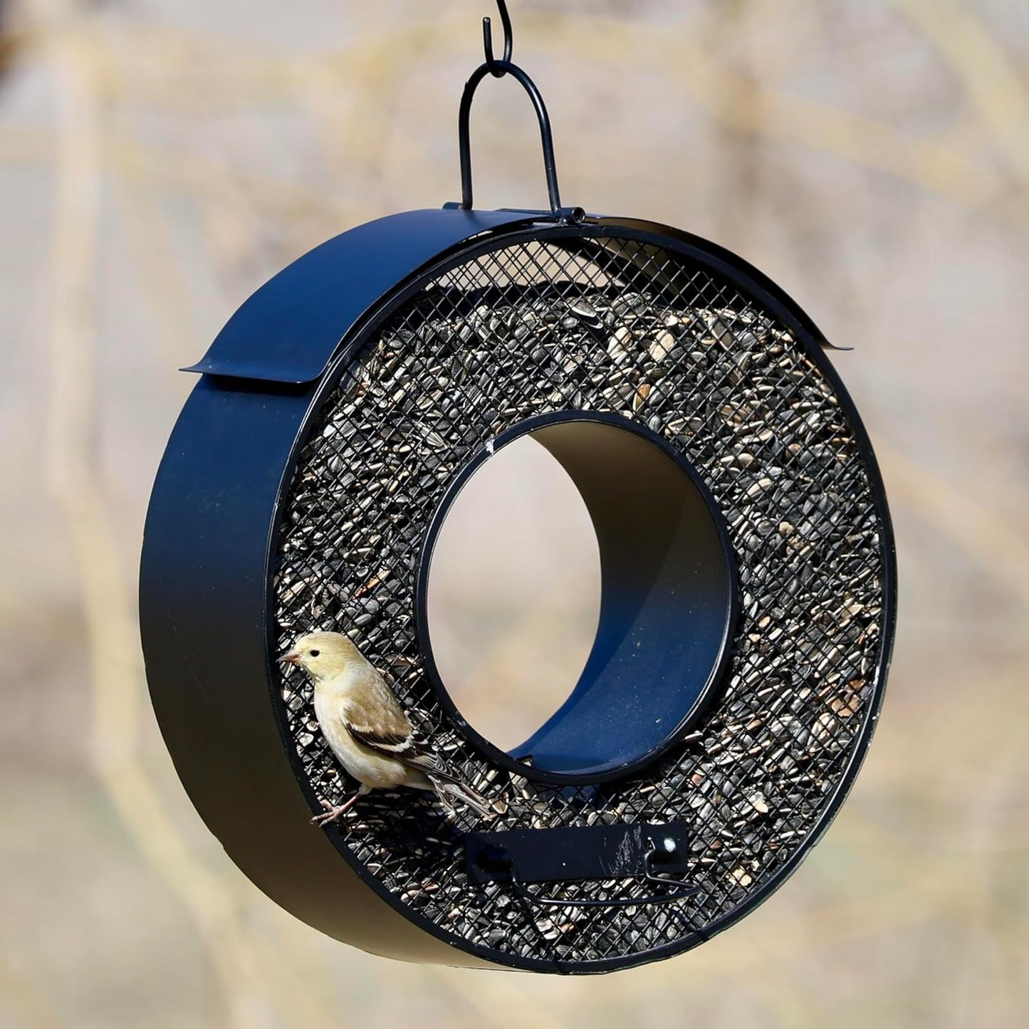 Songbird Essentials Black Circle FlyThruogh Metal Mesh Hanging Bird Feeder