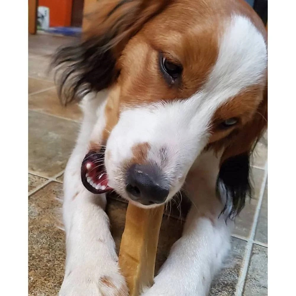 Yeti Dog Chew Strawberry Dog Chews Treats- Large, 3.5 oz