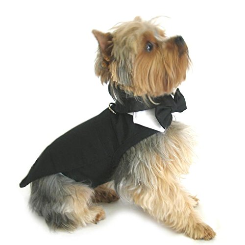 Dog Tuxedo w/ Formal Tails- Black, Large (Chest 19-21")