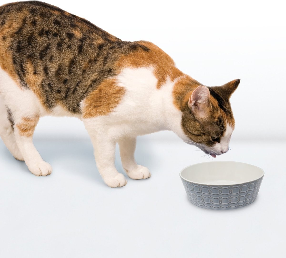 Pioneer Pet Loop Design Ceramic Bowls - Large (8" x 2.75")