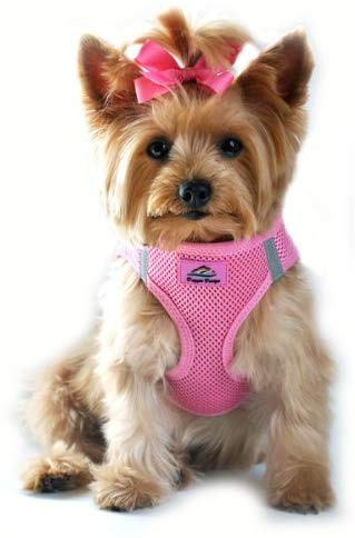 American River Choke Free Reflective Dog Harness, Pink, Small