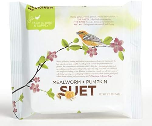 Pacific Bird & Supply Co Mealworm & Pumpkin Suet, 12.5oz