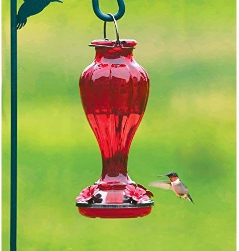 More Birds Red/Silver Blossom Glass Hummingbird Feeder - 20 Ounces