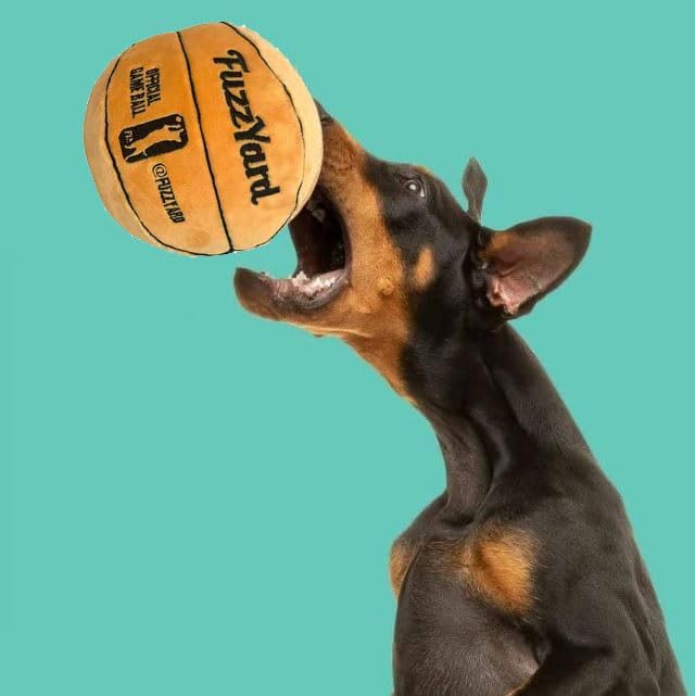 FuzzYard Basketball Squeaky Plush - Dog Toy