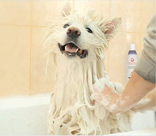 Aroma Paws 12 oz. Luxury Dog Shampoo & Conditioner in One Lavender Chamomile: Anti-itch & Hot Spot Relief Formula