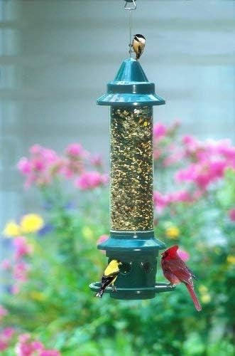 Brome,Squirrel Buster Plus 6"x6"x28" (w/hanger) Wild Bird Feeder with Cardinal Ring and 6 Feeding Ports, 5.1lb Seed Capacity, 2 Pack