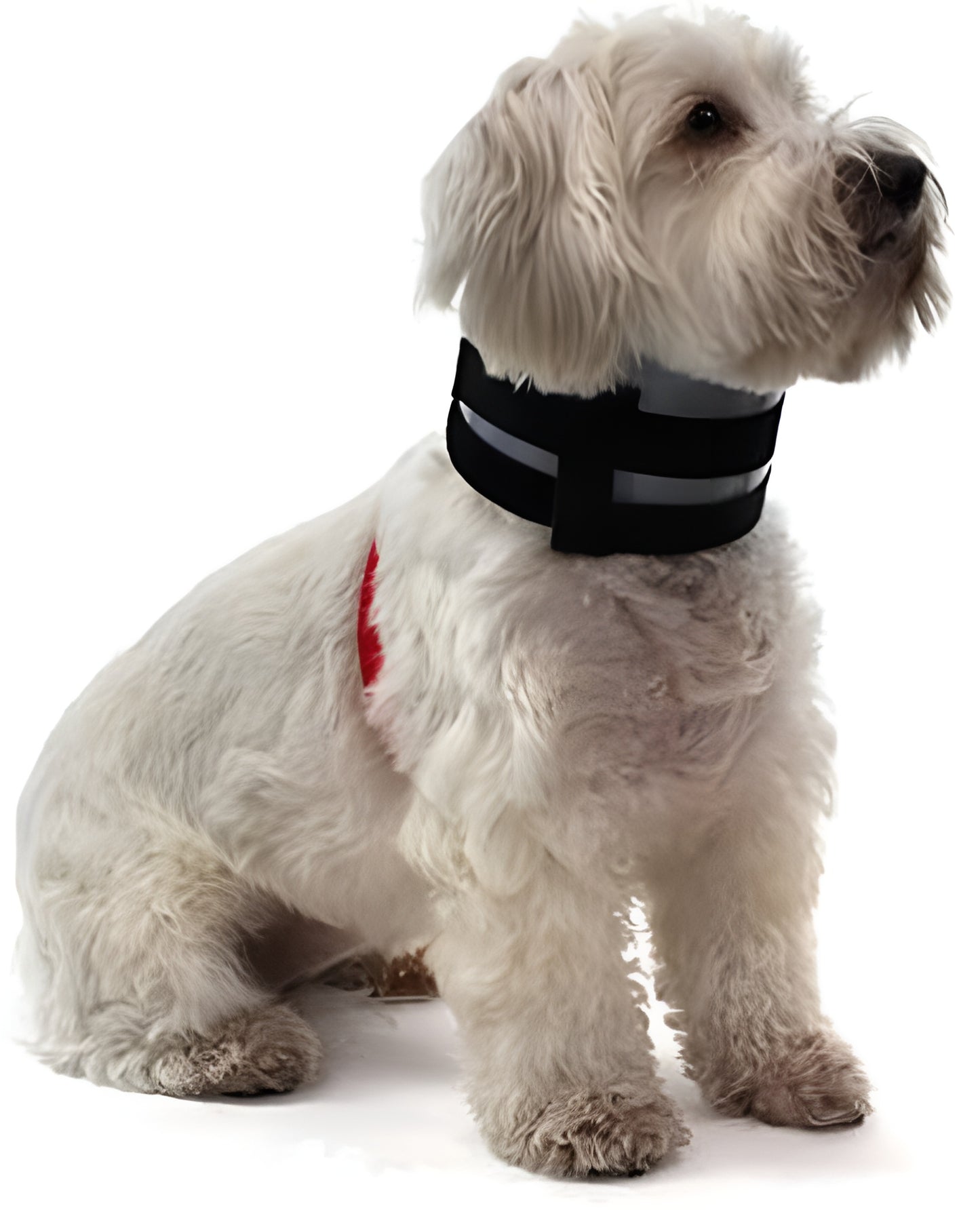 BiteNot Collar - 6" W x 27" L