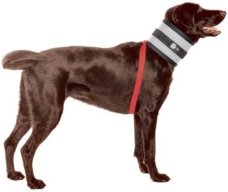 KVP BITENOT Cervical Dog Collar 8" W x 32" L