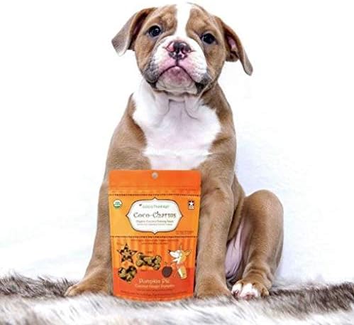 CocoTherapy Coco-Charms Training Dog Treats-Pumpkin Pie 5oz