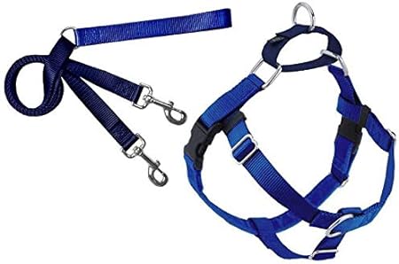 2 Hounds Design Freedom No Pull Dog Harness | Adjustable Gentle Comfortable Control Made in USA | Leash Included | 5/8" SM Royal Blue