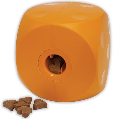 Buster Food Cube Large Size (Colors May Vary)